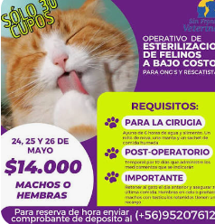 Operativo esterilización